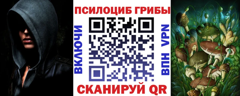 Галлюциногенные грибы прущие грибы  хочу наркоту  Ростов 