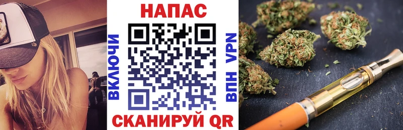 Канабис планчик  наркошоп  Ростов 